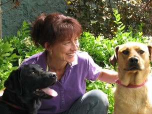 A woman sitting on the ground with two dogs.